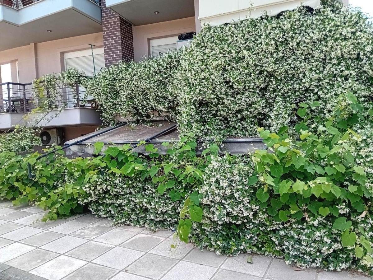 Stella'S Jasmine Apartment Tesalonika Bagian luar foto
